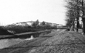 kolofikogvo (13)